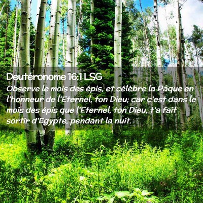 Picture 02 - Deutéronome 16:1 LSG - Observe le mois des épis, et célèbre la Pâque - Bible Verse Picture