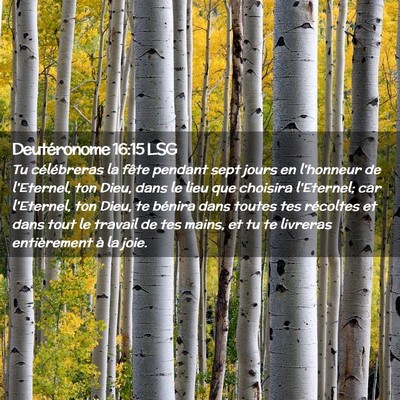 Picture 02 - Deutéronome 16:15 LSG - Tu célébreras la fête pendant sept jours en - Bible Verse Picture