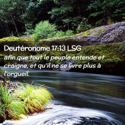 Picture 02 - Deutéronome 17:13 LSG - afin que tout le peuple entende et craigne, et - Bible Verse Picture