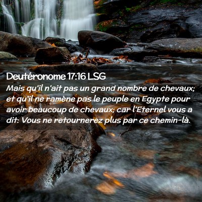 Picture 02 - Deutéronome 17:16 LSG - Mais qu'il n'ait pas un grand nombre de chevaux; - Bible Verse Picture