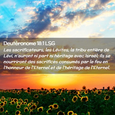 Picture 02 - Deutéronome 18:1 LSG - Les sacrificateurs, les Lévites, la tribu - Bible Verse Picture