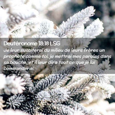 Picture 02 - Deutéronome 18:18 LSG - Je leur susciterai du milieu de leurs frères un - Bible Verse Picture