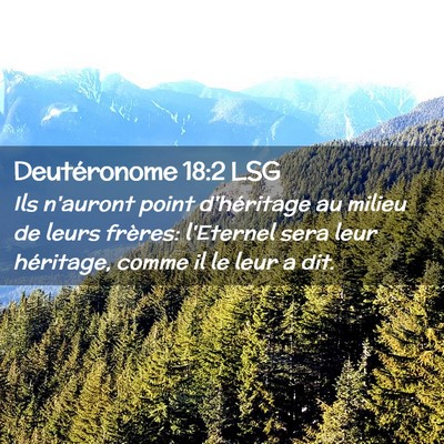 Picture 02 - Deutéronome 18:2 LSG - Ils n'auront point d'héritage au milieu de leurs - Bible Verse Picture