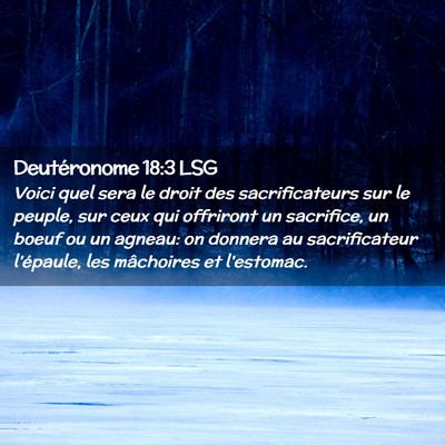 Picture 02 - Deutéronome 18:3 LSG - Voici quel sera le droit des sacrificateurs sur - Bible Verse Picture