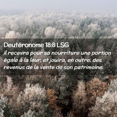 Picture 02 - Deutéronome 18:8 LSG - il recevra pour sa nourriture une portion égale - Bible Verse Picture