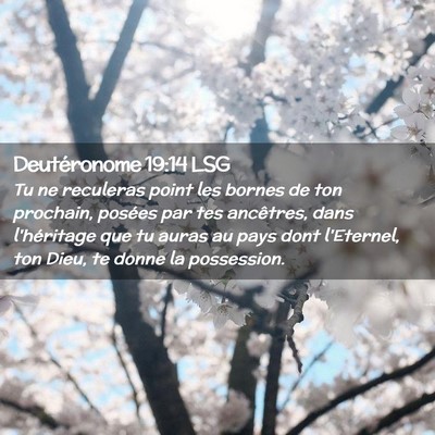 Picture 02 - Deutéronome 19:14 LSG - Tu ne reculeras point les bornes de ton prochain, - Bible Verse Picture
