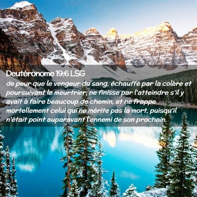 Picture 02 - Deutéronome 19:6 LSG - de peur que le vengeur du sang, échauffé par la - Bible Verse Picture