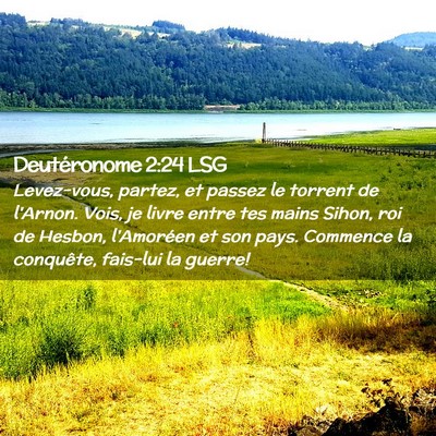 Picture 02 - Deutéronome 2:24 LSG - Levez-vous, partez, et passez le torrent de - Bible Verse Picture