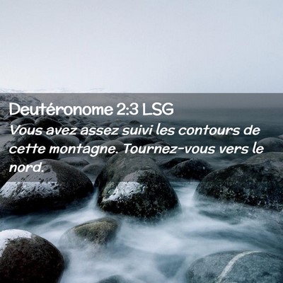 Picture 02 - Deutéronome 2:3 LSG - Vous avez assez suivi les contours de cette - Bible Verse Picture