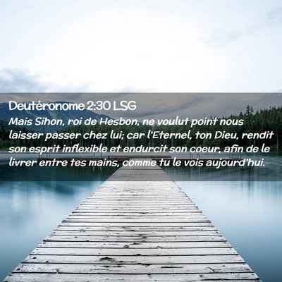 Picture 02 - Deutéronome 2:30 LSG - Mais Sihon, roi de Hesbon, ne voulut point nous - Bible Verse Picture