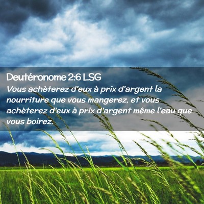 Picture 02 - Deutéronome 2:6 LSG - Vous achèterez d'eux à prix d'argent la - Bible Verse Picture