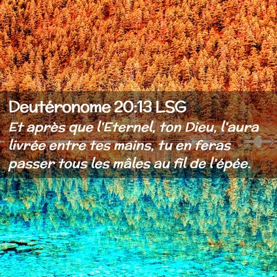Picture 02 - Deutéronome 20:13 LSG - Et après que l'Eternel, ton Dieu, l'aura livrée - Bible Verse Picture
