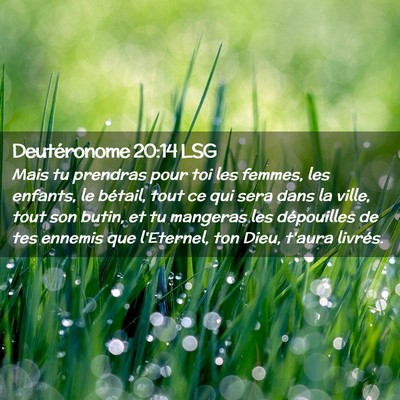 Picture 02 - Deutéronome 20:14 LSG - Mais tu prendras pour toi les femmes, les - Bible Verse Picture