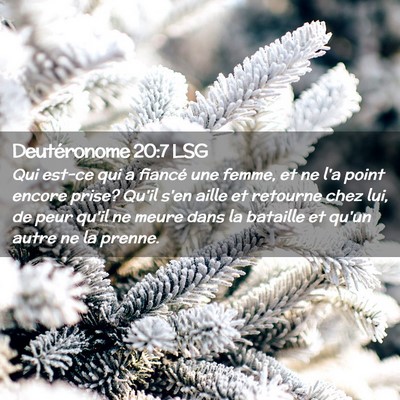 Picture 02 - Deutéronome 20:7 LSG - Qui est-ce qui a fiancé une femme, et ne l'a - Bible Verse Picture