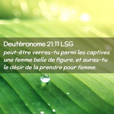 Picture 02 - Deutéronome 21:11 LSG - peut-être verras-tu parmi les captives une femme - Bible Verse Picture