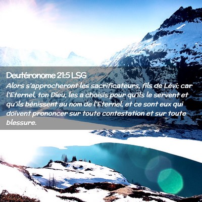 Picture 02 - Deutéronome 21:5 LSG - Alors s'approcheront les sacrificateurs, fils de - Bible Verse Picture