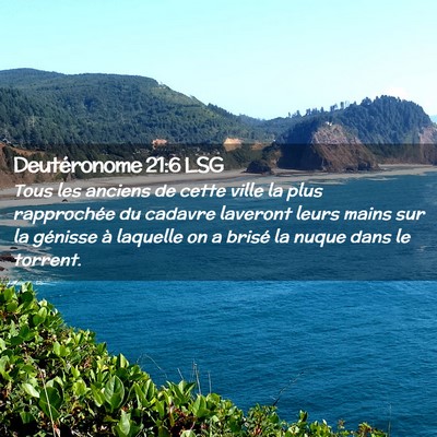 Picture 02 - Deutéronome 21:6 LSG - Tous les anciens de cette ville la plus - Bible Verse Picture