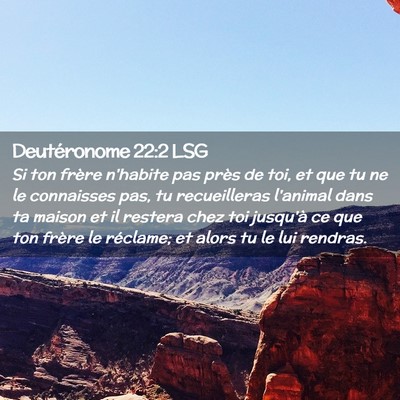 Picture 02 - Deutéronome 22:2 LSG - Si ton frère n'habite pas près de toi, et que - Bible Verse Picture