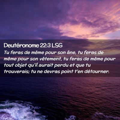 Picture 02 - Deutéronome 22:3 LSG - Tu feras de même pour son âne, tu feras de - Bible Verse Picture