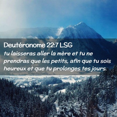 Picture 02 - Deutéronome 22:7 LSG - tu laisseras aller la mère et tu ne prendras que - Bible Verse Picture