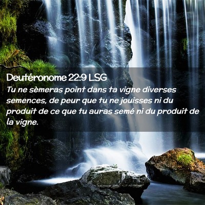 Picture 02 - Deutéronome 22:9 LSG - Tu ne sèmeras point dans ta vigne diverses - Bible Verse Picture