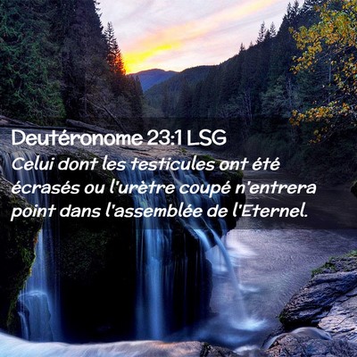 Picture 02 - Deutéronome 23:1 LSG - Celui dont les testicules ont été écrasés ou - Bible Verse Picture
