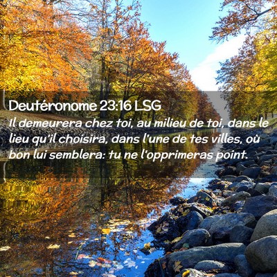 Picture 02 - Deutéronome 23:16 LSG - Il demeurera chez toi, au milieu de toi, dans le - Bible Verse Picture