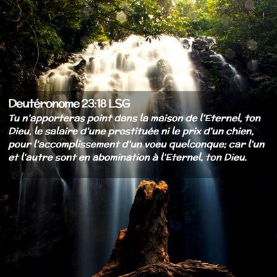 Picture 02 - Deutéronome 23:18 LSG - Tu n'apporteras point dans la maison de - Bible Verse Picture