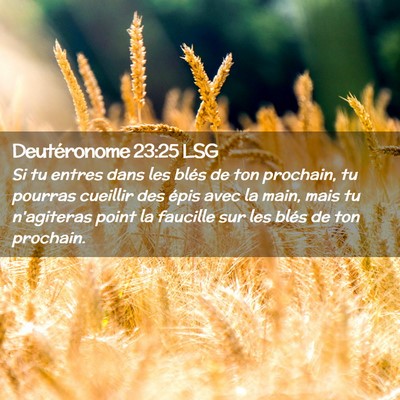 Picture 02 - Deutéronome 23:25 LSG - Si tu entres dans les blés de ton prochain, tu - Bible Verse Picture