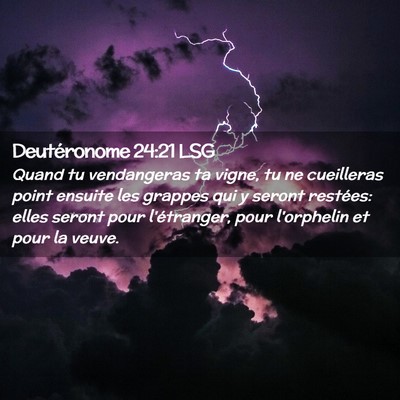 Picture 02 - Deutéronome 24:21 LSG - Quand tu vendangeras ta vigne, tu ne cueilleras - Bible Verse Picture