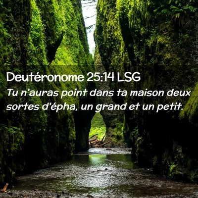 Picture 02 - Deutéronome 25:14 LSG - Tu n'auras point dans ta maison deux sortes - Bible Verse Picture