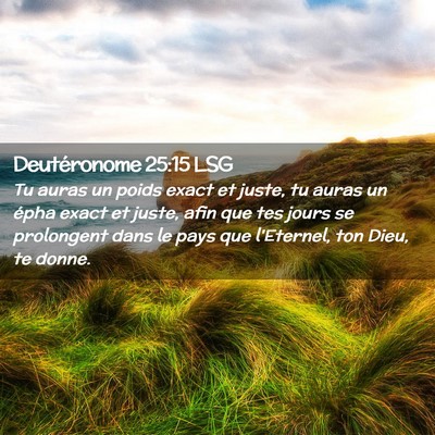 Picture 02 - Deutéronome 25:15 LSG - Tu auras un poids exact et juste, tu auras un - Bible Verse Picture
