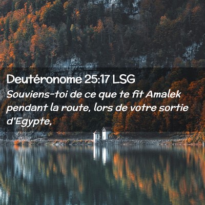 Picture 02 - Deutéronome 25:17 LSG - Souviens-toi de ce que te fit Amalek pendant la - Bible Verse Picture