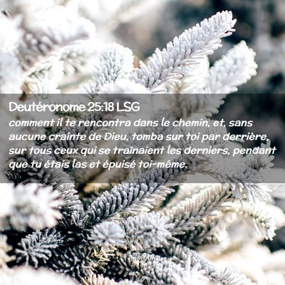 Picture 02 - Deutéronome 25:18 LSG - comment il te rencontra dans le chemin, et, sans - Bible Verse Picture