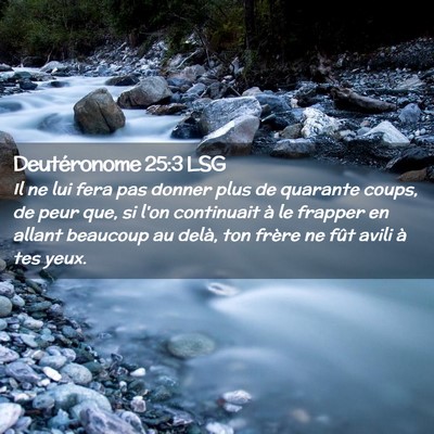 Picture 02 - Deutéronome 25:3 LSG - Il ne lui fera pas donner plus de quarante coups, - Bible Verse Picture