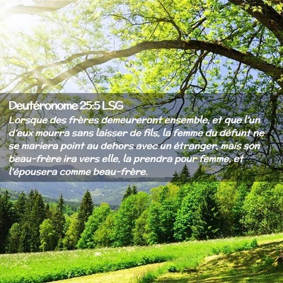 Picture 02 - Deutéronome 25:5 LSG - Lorsque des frères demeureront ensemble, et que - Bible Verse Picture