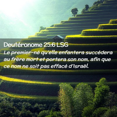 Picture 02 - Deutéronome 25:6 LSG - Le premier-né qu'elle enfantera succédera au - Bible Verse Picture