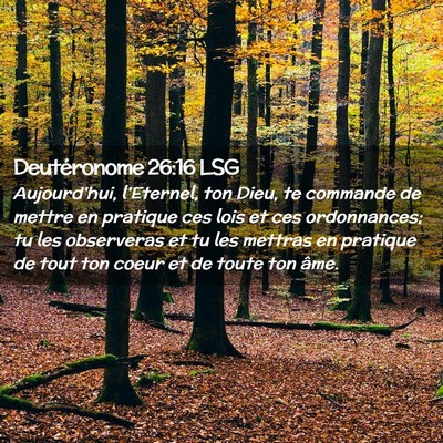 Picture 02 - Deutéronome 26:16 LSG - Aujourd'hui, l'Eternel, ton Dieu, te commande de - Bible Verse Picture
