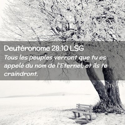 Picture 02 - Deutéronome 28:10 LSG - Tous les peuples verront que tu es appelé du nom - Bible Verse Picture
