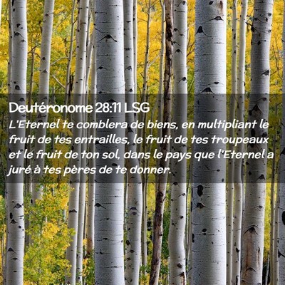 Picture 02 - Deutéronome 28:11 LSG - L'Eternel te comblera de biens, en multipliant le - Bible Verse Picture