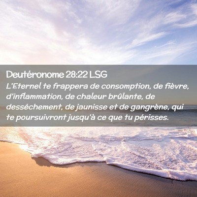 Picture 02 - Deutéronome 28:22 LSG - L'Eternel te frappera de consomption, de fièvre, - Bible Verse Picture