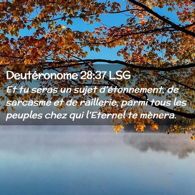 Picture 02 - Deutéronome 28:37 LSG - Et tu seras un sujet d'étonnement, de sarcasme - Bible Verse Picture