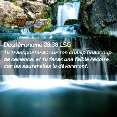 Picture 02 - Deutéronome 28:38 LSG - Tu transporteras sur ton champ beaucoup de - Bible Verse Picture