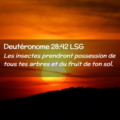 Picture 02 - Deutéronome 28:42 LSG - Les insectes prendront possession de tous tes - Bible Verse Picture