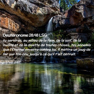 Picture 02 - Deutéronome 28:48 LSG - tu serviras, au milieu de la faim, de la soif, de - Bible Verse Picture