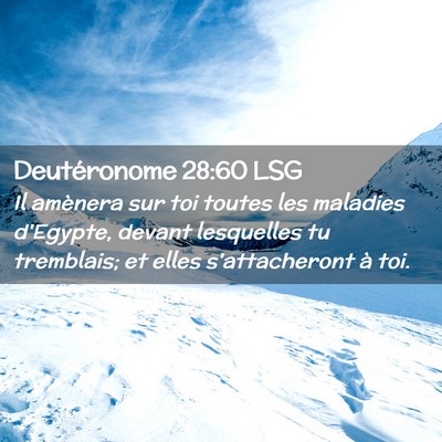 Picture 02 - Deutéronome 28:60 LSG - Il amènera sur toi toutes les maladies d'Egypte, - Bible Verse Picture