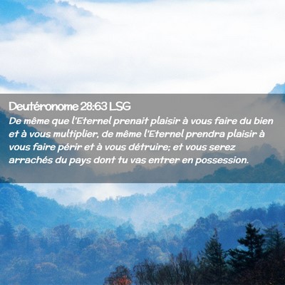 Picture 02 - Deutéronome 28:63 LSG - De même que l'Eternel prenait plaisir à vous - Bible Verse Picture