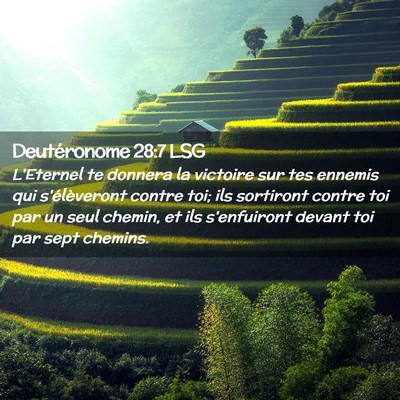 Picture 02 - Deutéronome 28:7 LSG - L'Eternel te donnera la victoire sur tes ennemis - Bible Verse Picture