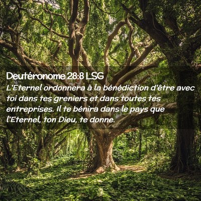Picture 02 - Deutéronome 28:8 LSG - L'Eternel ordonnera à la bénédiction d'être - Bible Verse Picture