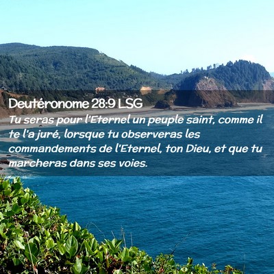 Picture 02 - Deutéronome 28:9 LSG - Tu seras pour l'Eternel un peuple saint, comme il - Bible Verse Picture